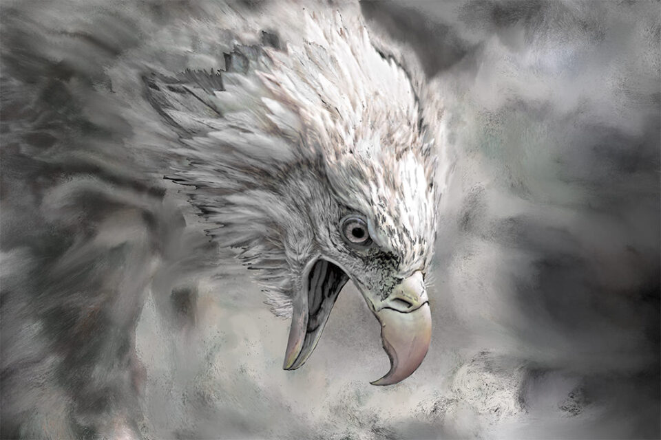 Foto pintada del águila calva enojada