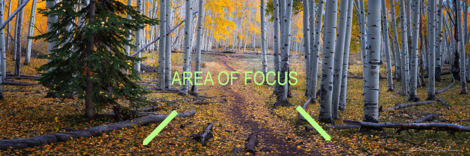 Pano-primer plano-enfoque