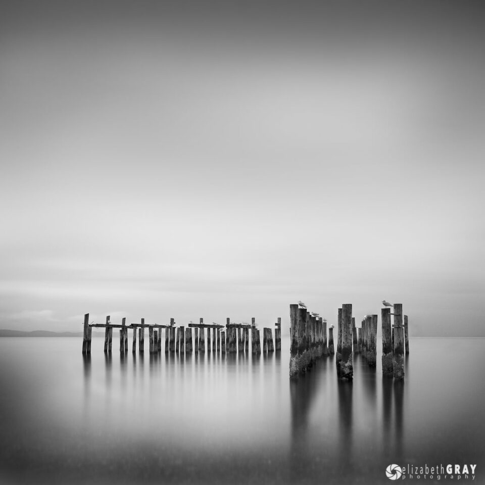 Muelle de Point Roberts