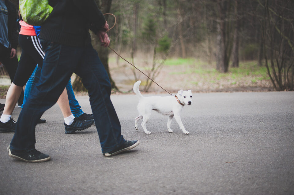 Herramienta de eliminación de manchas #7