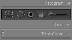 Herramienta de eliminación de manchas #1
