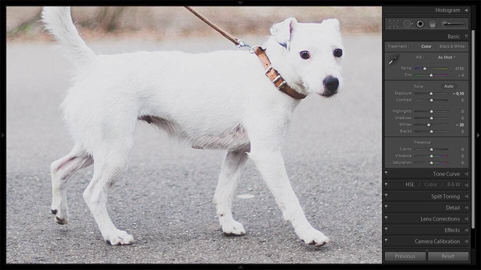 Herramienta de eliminación de manchas #2