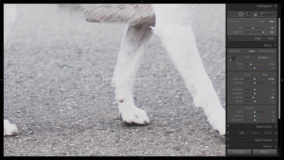 Herramienta de eliminación de manchas#5