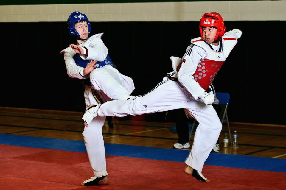 Taekwondo (8) Taekwondo (8)