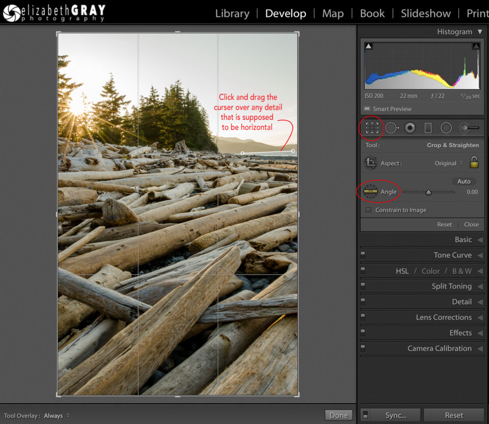 Uso de la herramienta regular