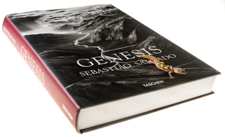 Verm-Dewey-Génesis-7493