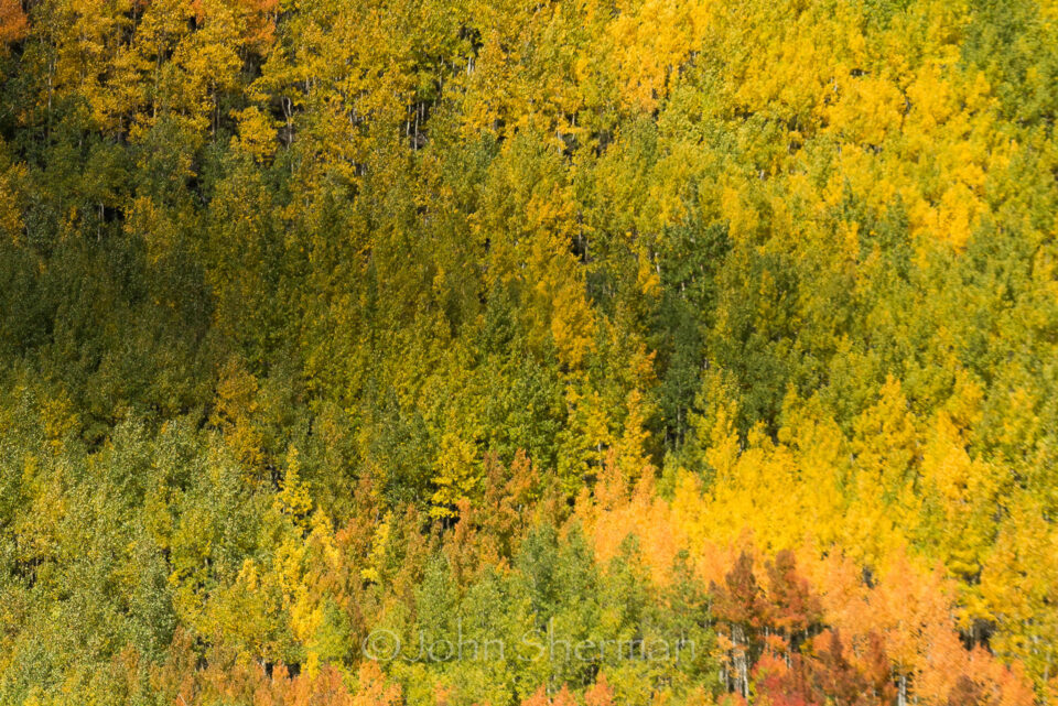 Verm-rincones-suaves-San-Juans-1681-2