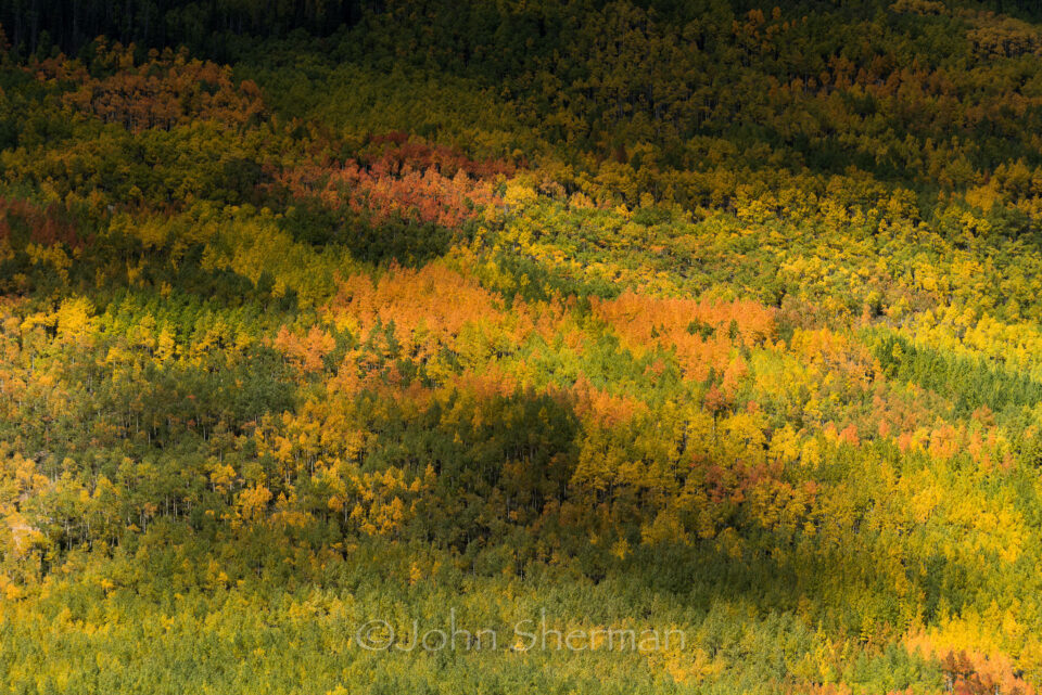 Verm-rincones-suaves-San-Juans-1681-3