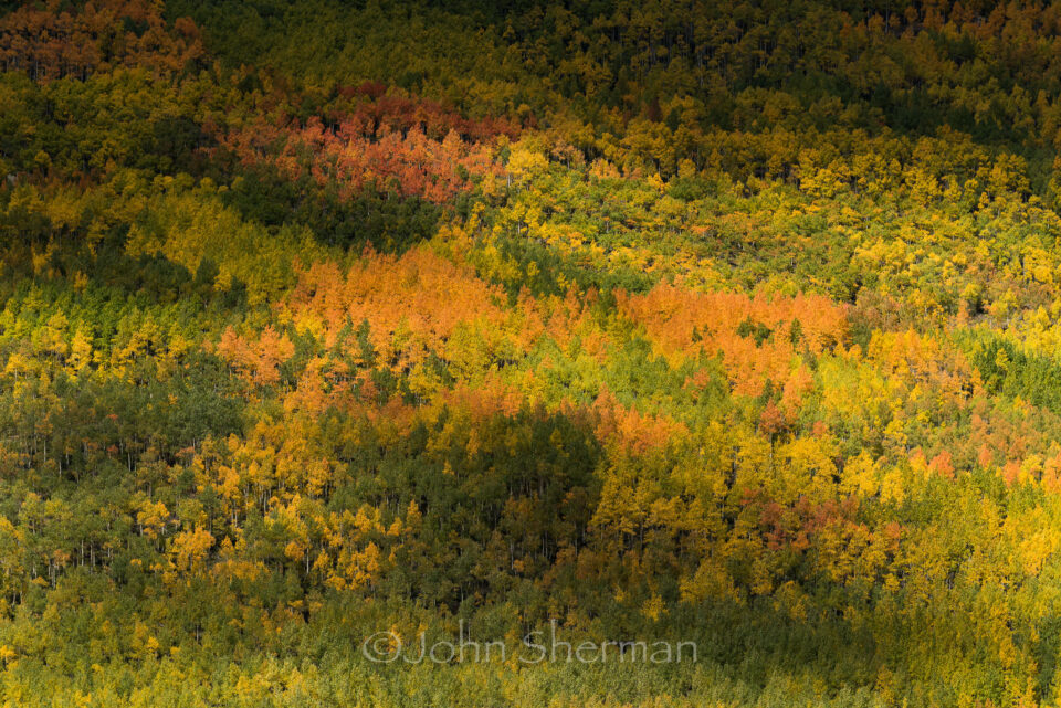 Verm-rincones-suaves-San-Juans-1681