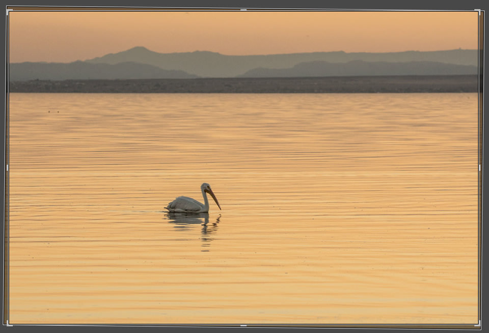 enderezar automáticamente