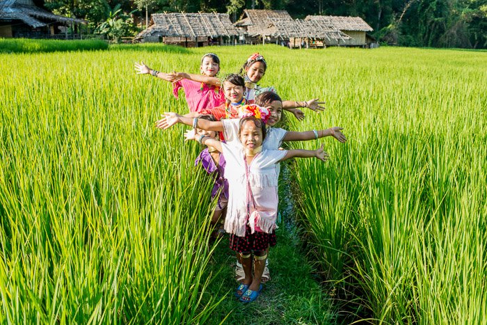 Toma de fotografía de luz natural de un grupo de niños posando en un campo de arroz: el mejor momento para tomar fotos al aire libre