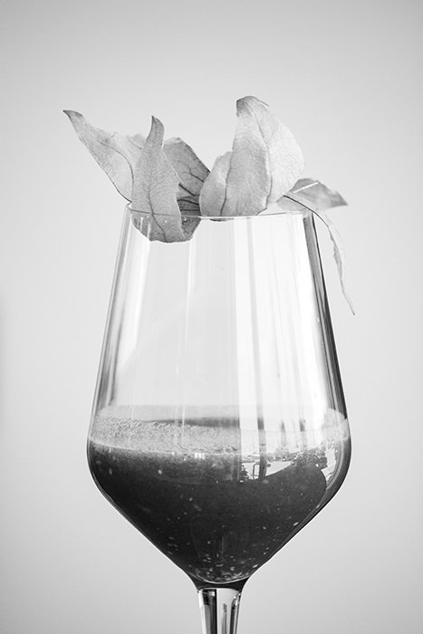 Una foto de naturaleza muerta en blanco y negro de una copa de vino