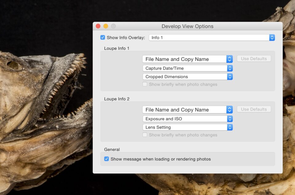 desarrollar la configuración de vista