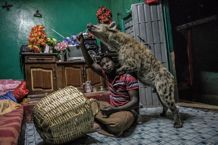 Foto de un hombre posando con una hiena en un ambiente interior por Brian Lehmann.