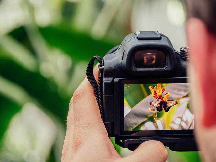 Primer plano de un hombre mirando a través de una cámara DSLR y tomando una foto de una flor