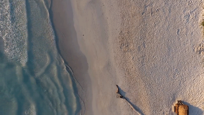 Un cinemagraph de una toma aérea de una persona corriendo por la playa