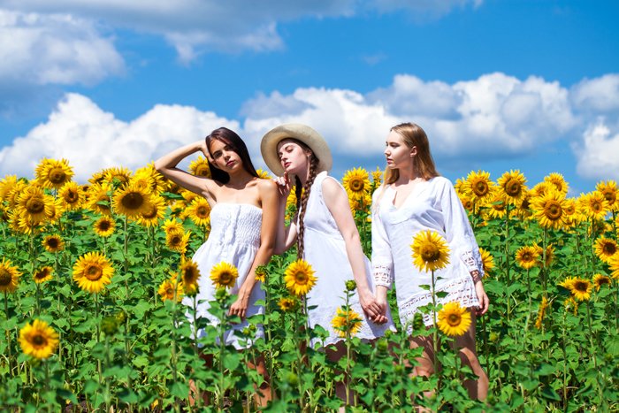 Tres chicas vestidas de blanco de pie en un campo de girasoles.  En el fondo el cielo es azul y hay nubes blancas.
