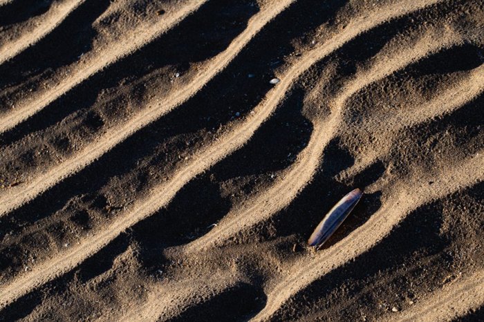 ejemplos de fotografía macro de arena estampada