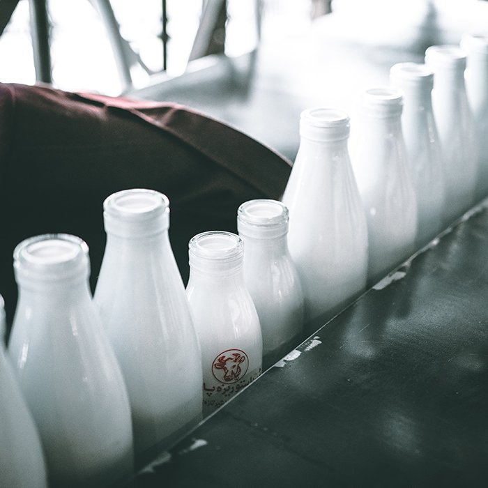 Una fila de botellas de leche de diferentes tamaños
