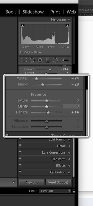 Captura de pantalla del Control deslizante de textura de Lightrooms ubicado en el panel Básico