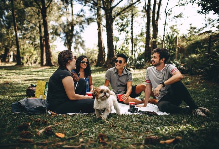 Un grupo de cuatro amigos haciendo un picnic en un bosque