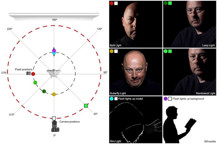 Un esquema que muestra la posición relativa de la luz, la cámara y el modelo para crear algunas de las configuraciones de iluminación más comunes utilizadas en la fotografía de retratos de estudio.