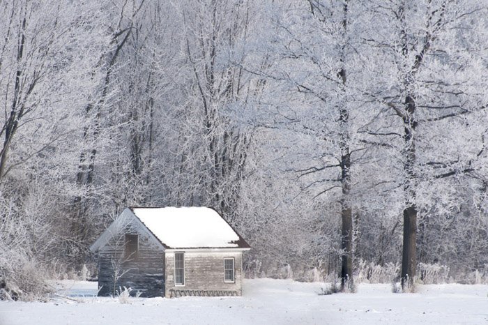 Captura de paisaje invernal de una cabaña de madera cubierta de nieve en un bosque.